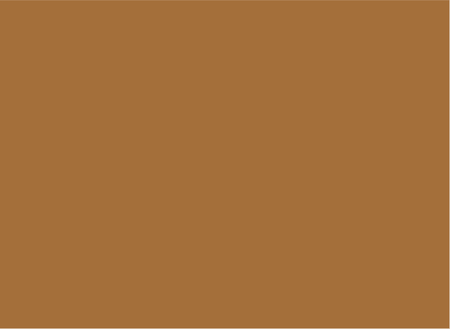 Solid brown color background.